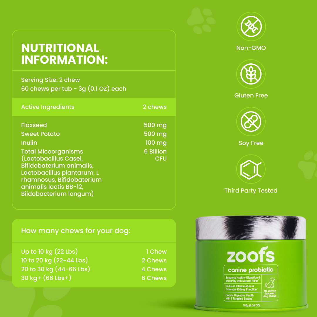 Active Bundle for Dogs - Mobility, Longevity, Gut & Digestive Health